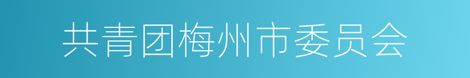 共青团梅州市委员会的同义词