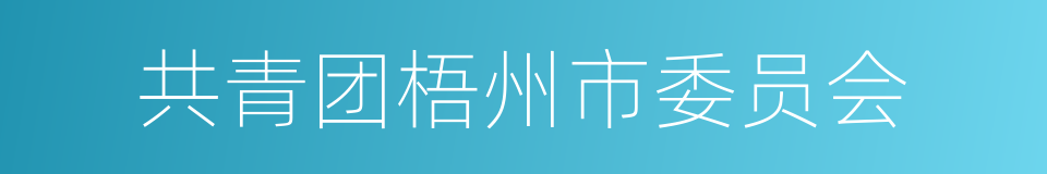 共青团梧州市委员会的同义词