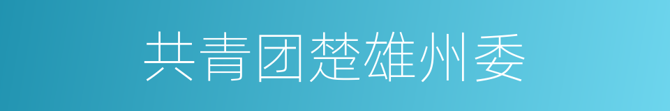 共青团楚雄州委的同义词