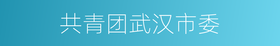 共青团武汉市委的同义词