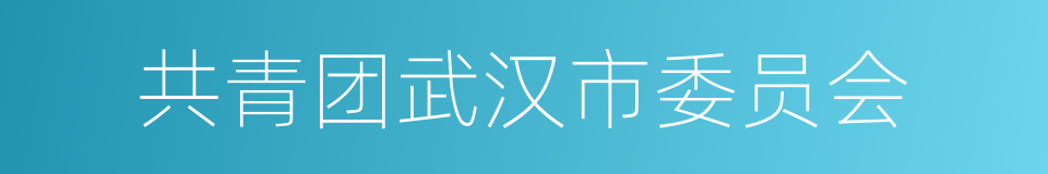 共青团武汉市委员会的同义词