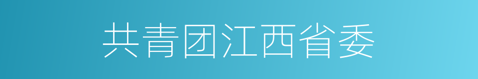 共青团江西省委的同义词