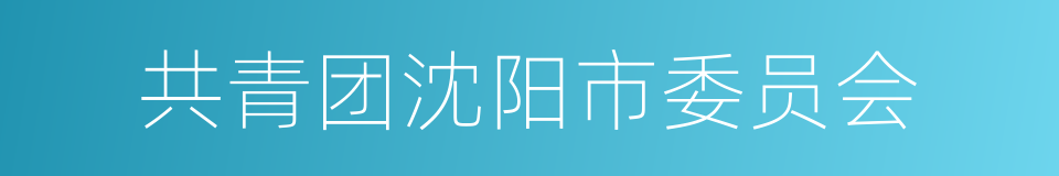 共青团沈阳市委员会的同义词