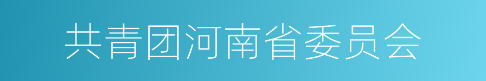 共青团河南省委员会的同义词