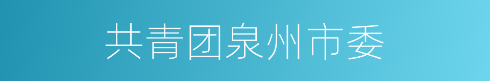 共青团泉州市委的同义词