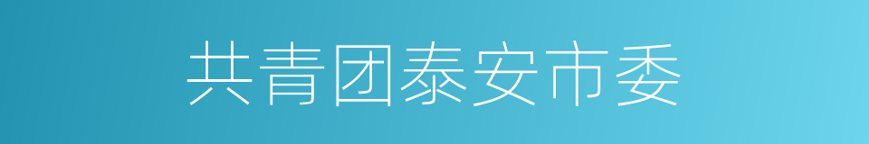 共青团泰安市委的同义词