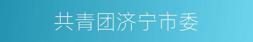 共青团济宁市委的同义词