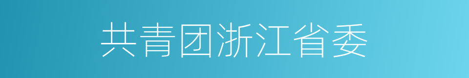 共青团浙江省委的同义词