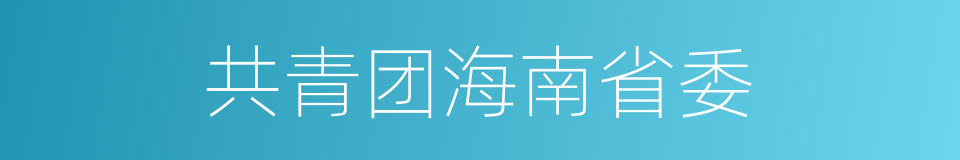 共青团海南省委的同义词