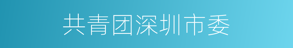 共青团深圳市委的同义词