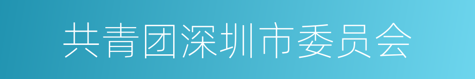 共青团深圳市委员会的同义词