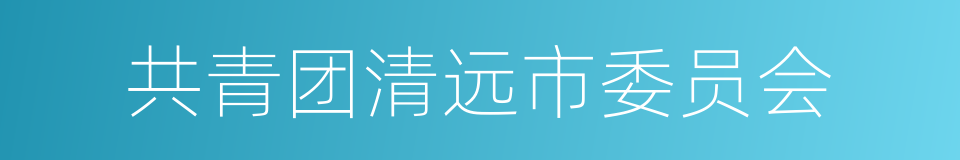 共青团清远市委员会的同义词