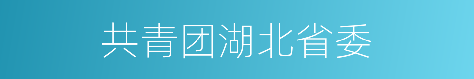 共青团湖北省委的同义词