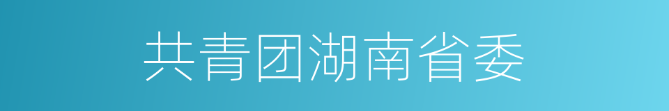 共青团湖南省委的同义词