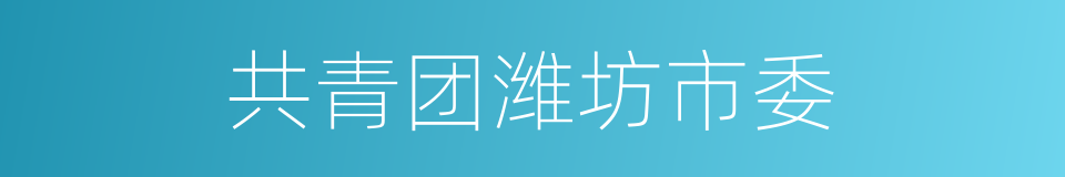 共青团潍坊市委的同义词