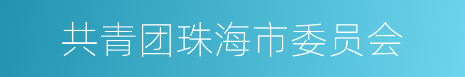 共青团珠海市委员会的同义词