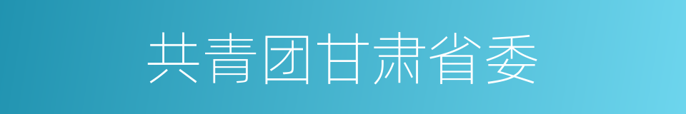 共青团甘肃省委的同义词