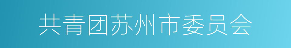 共青团苏州市委员会的同义词
