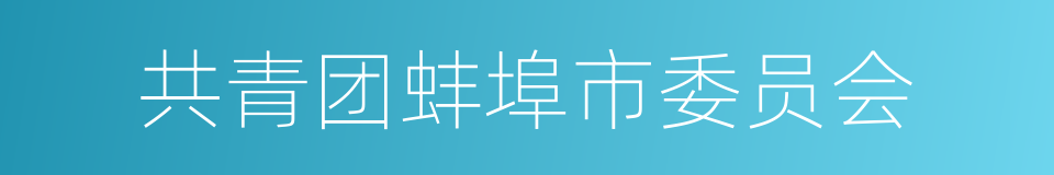 共青团蚌埠市委员会的同义词