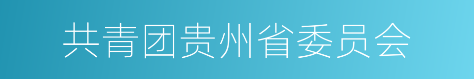 共青团贵州省委员会的同义词