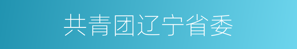 共青团辽宁省委的同义词