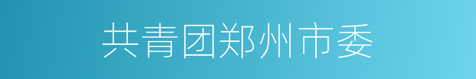 共青团郑州市委的同义词