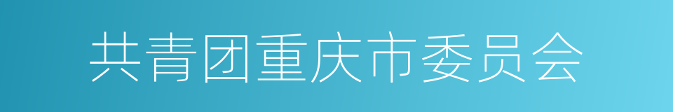 共青团重庆市委员会的同义词