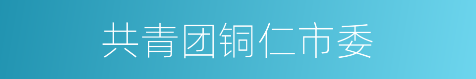 共青团铜仁市委的同义词