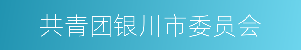 共青团银川市委员会的同义词