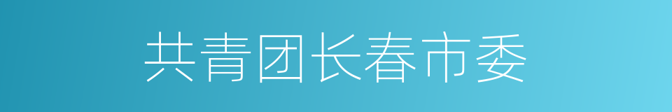 共青团长春市委的同义词