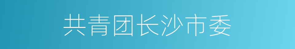 共青团长沙市委的同义词