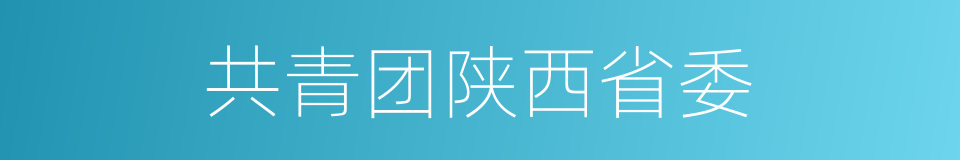 共青团陕西省委的同义词