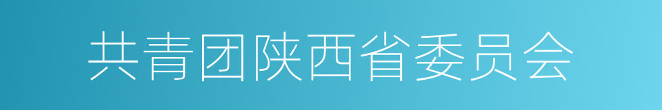 共青团陕西省委员会的同义词