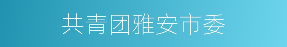 共青团雅安市委的同义词