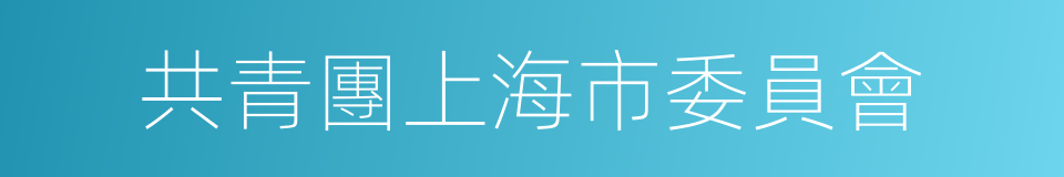 共青團上海市委員會的同義詞