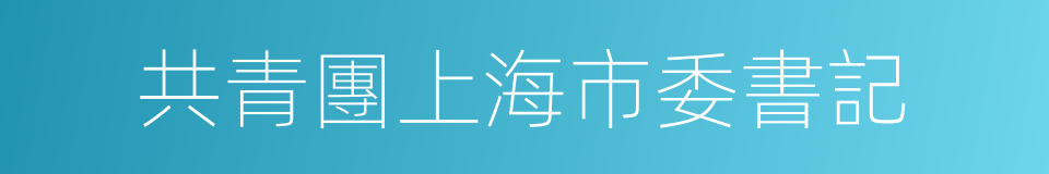 共青團上海市委書記的同義詞