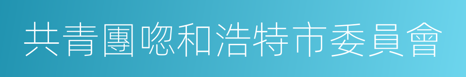 共青團唿和浩特市委員會的同義詞
