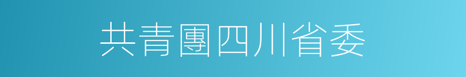 共青團四川省委的同義詞