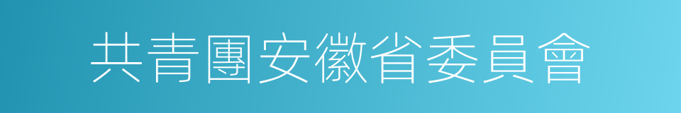 共青團安徽省委員會的同義詞