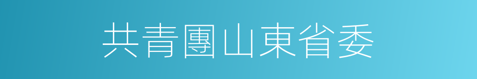 共青團山東省委的同義詞