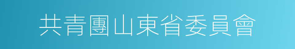 共青團山東省委員會的同義詞