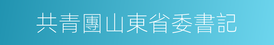 共青團山東省委書記的同義詞