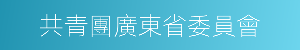 共青團廣東省委員會的同義詞