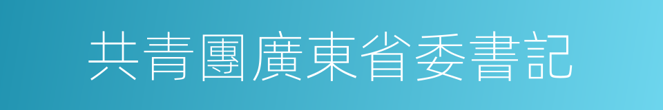 共青團廣東省委書記的同義詞