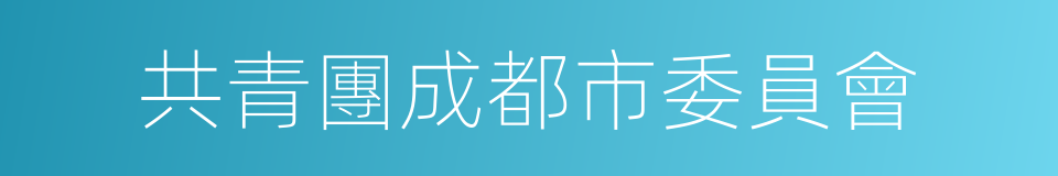 共青團成都市委員會的同義詞