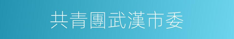 共青團武漢市委的同義詞