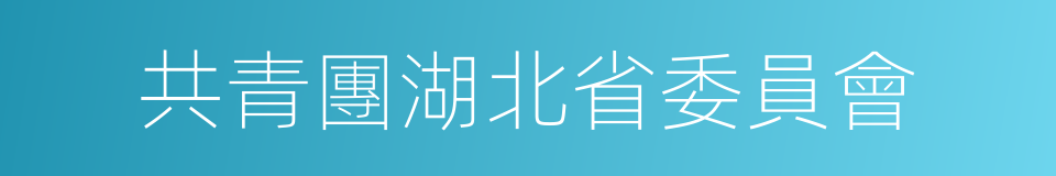 共青團湖北省委員會的同義詞