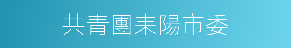 共青團耒陽市委的同義詞