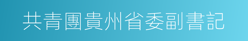 共青團貴州省委副書記的同義詞