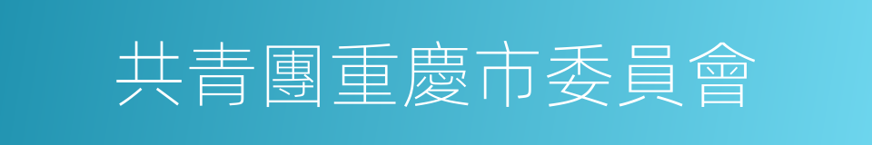 共青團重慶市委員會的同義詞